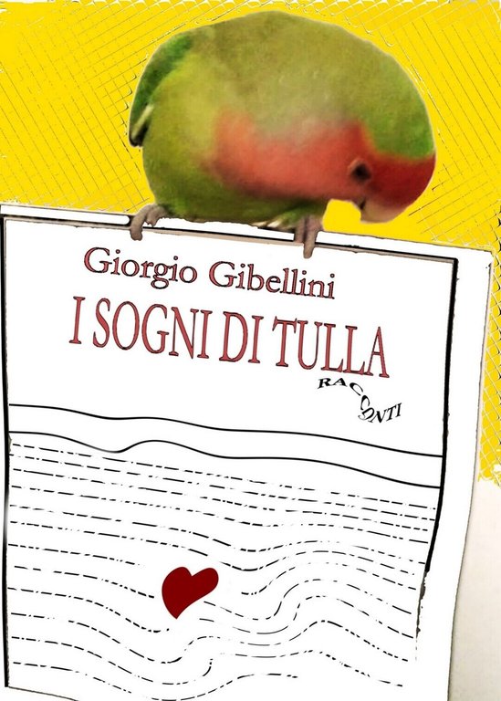 I sogni di Tulla di Giorgio Gibellini, 2019, Youcanprint