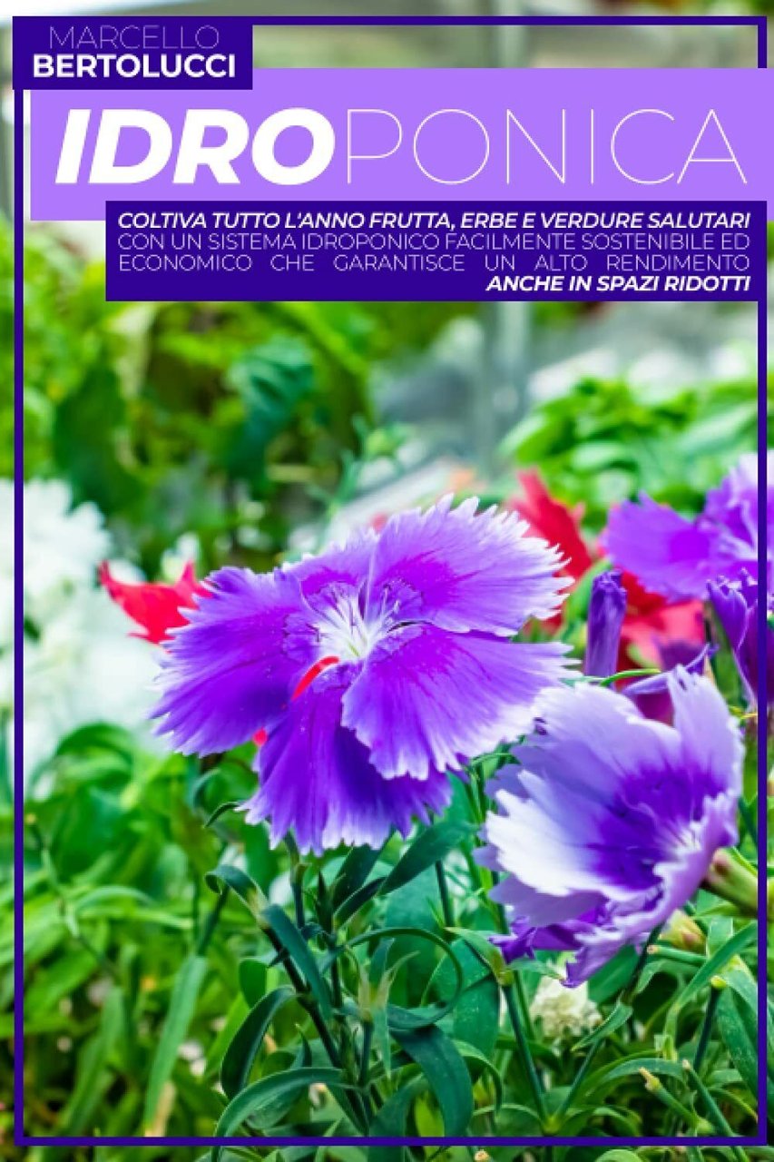 Idroponica Coltiva Tutto l?anno Frutta, Erbe e Verdure Salutari con …