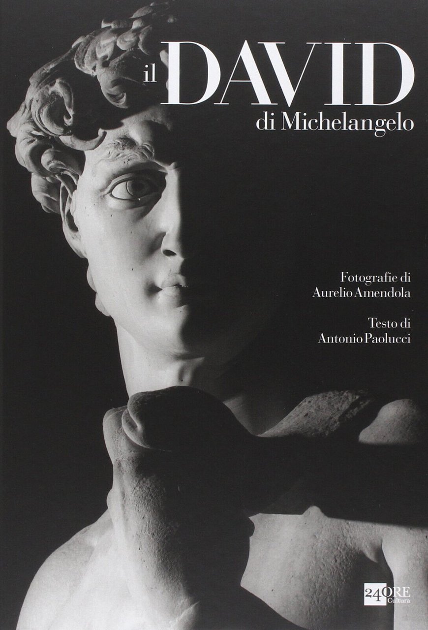 Il David di Michelangelo - Antonio Paolucci, Aurelio Amendola - …