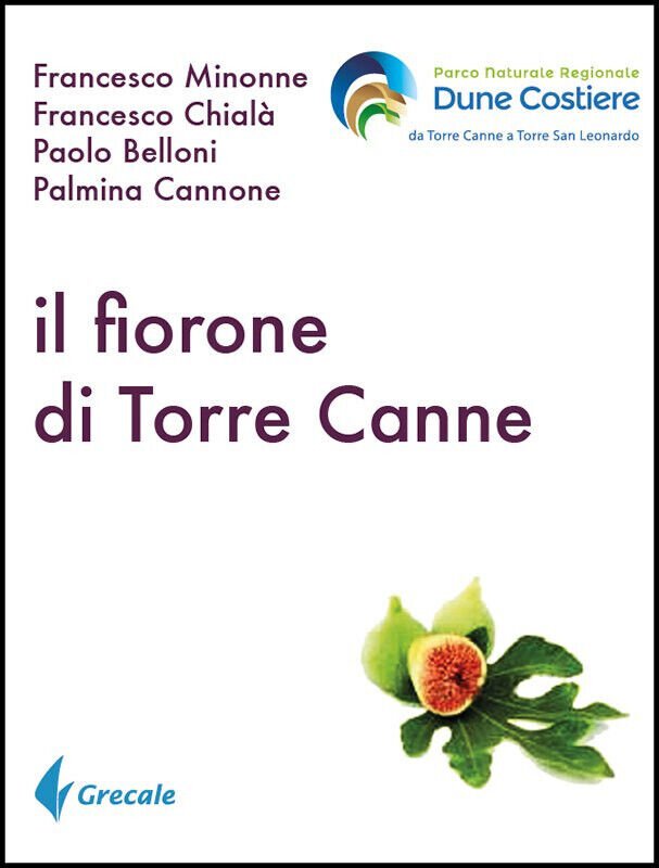 Il fiorone di Torre canne - Francesco Minonne - Stilo, … | Immagine principale