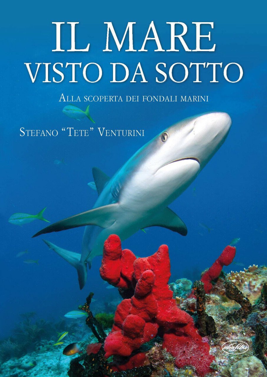 Il mare visto da sotto - Stefano "Tete" Venturini - …