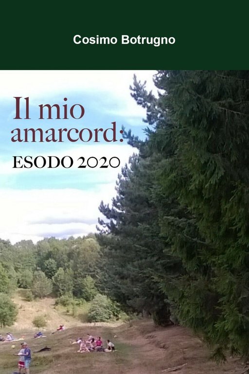 Il mio amarcord: ESODO 2020 di Cosimo Botrugno, 2021, Youcanprint