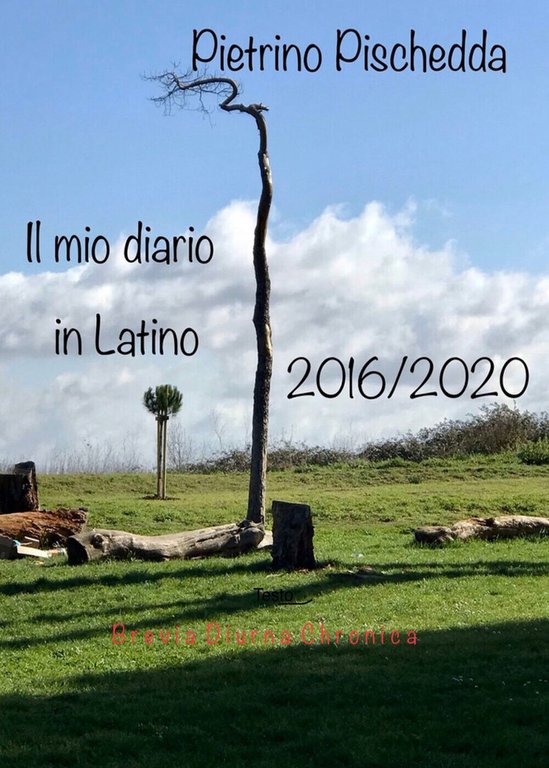 Il mio diario in latino di Pietrino Pischedda, 2021, Youcanprint