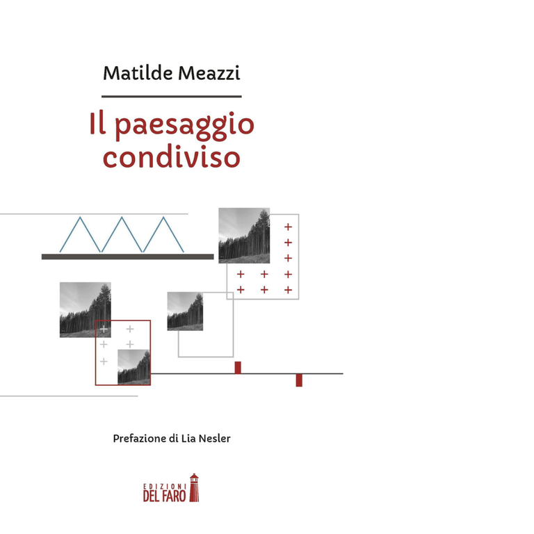 Il paesaggio condiviso di Matilde Meazzi - Edizioni del Faro, 2017