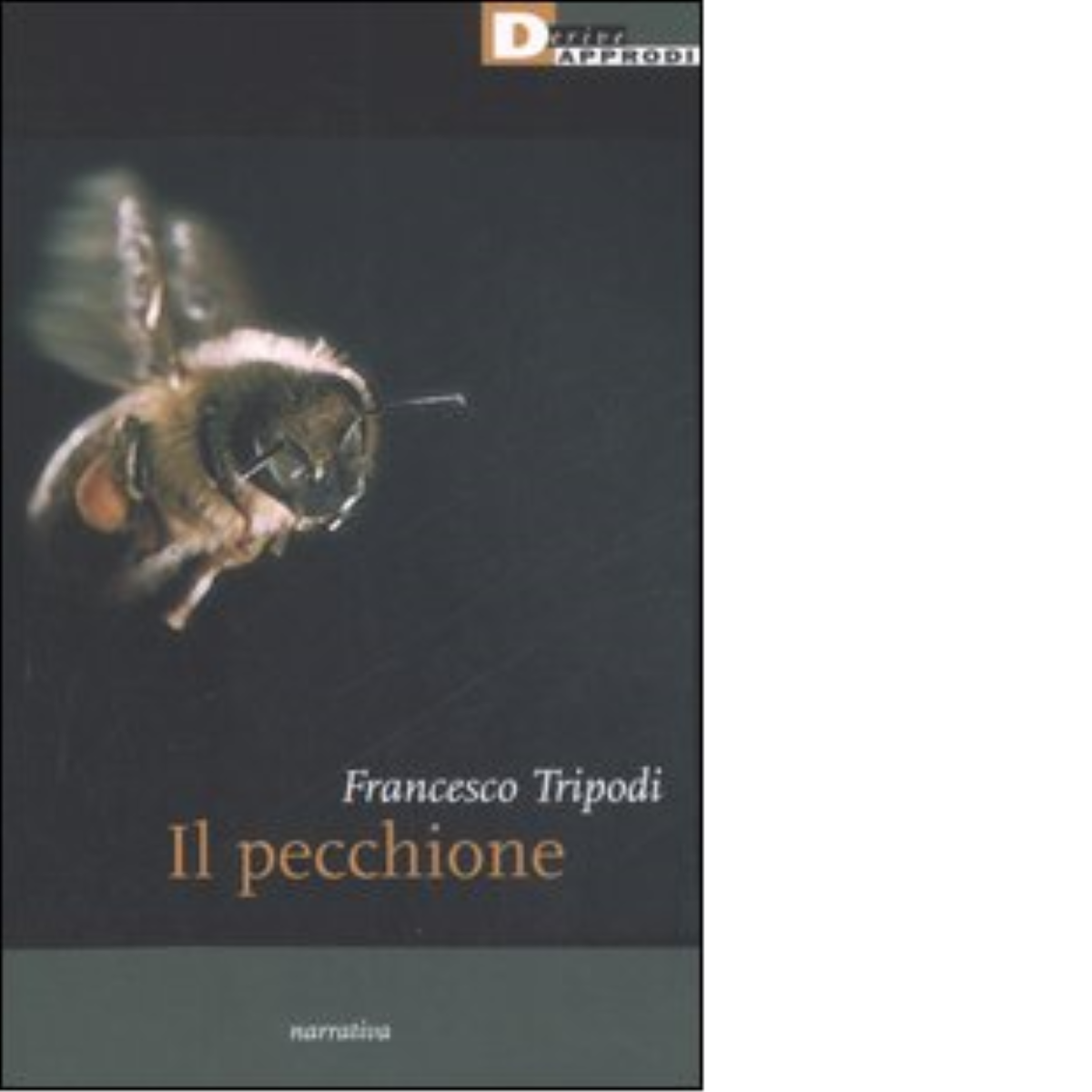 IL PECCHIONE di FRANCESCO TRIPODI - DeriveApprodi editore, 2006