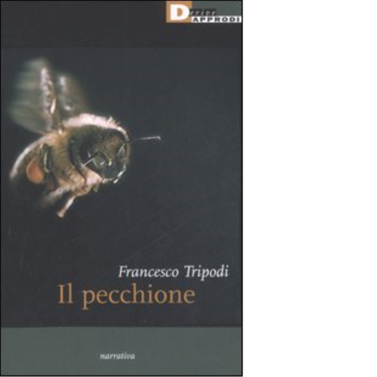 IL PECCHIONE di FRANCESCO TRIPODI - DeriveApprodi editore, 2006