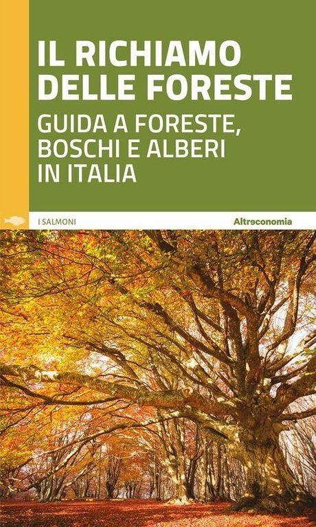 Il richiamo delle foreste. Guida a foreste, boschi e alberi in Italia di D. Flo