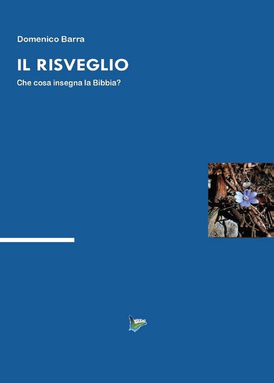 Il risveglio di Domenico Barra, 2016, Youcanprint