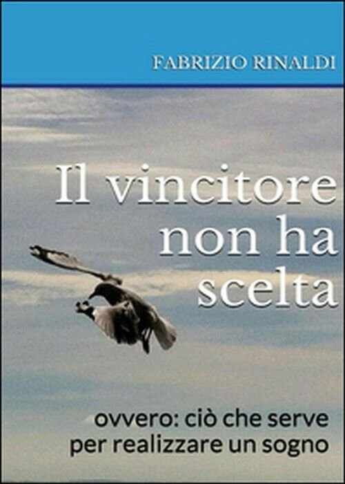 Il vincitore non ha scelta - Fabrizio Rinaldi, 2015, Youcanprint