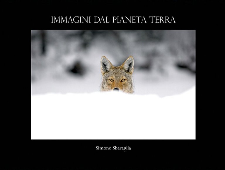 Immagini dal Pianeta Terra di Simone Sbaraglia, 2018, Youcanprint | Immagine Gallery 2