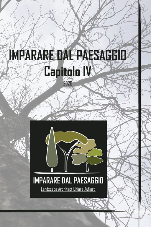 Imparare dal Paesaggio - Capitolo IV di Chiara Aufiero, 2021, …