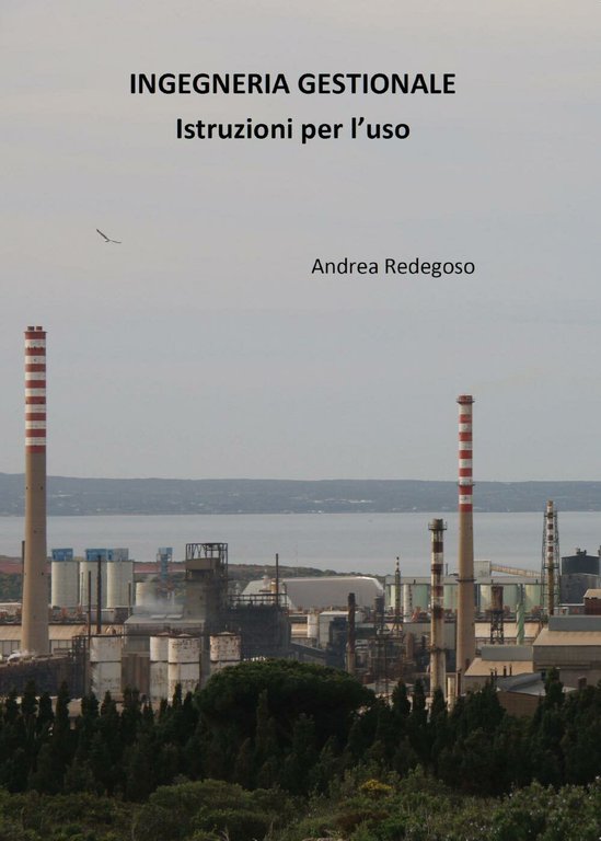 Ingegneria gestionale - istruzioni per l?uso, di Andrea Giovanni Redegoso, …
