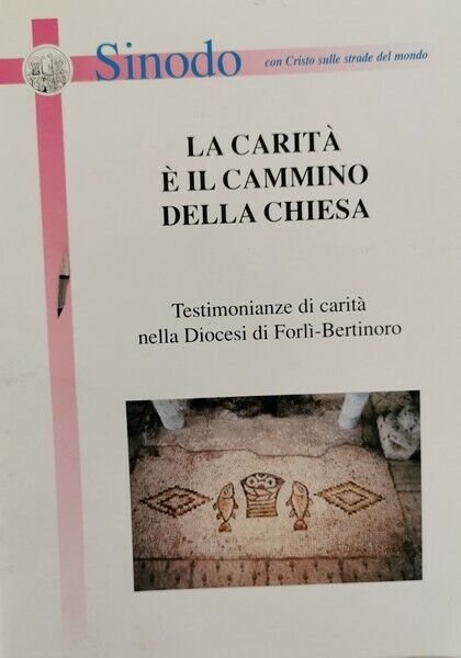 La carità è il cammino della chiesa - ER | Immagine Gallery 2