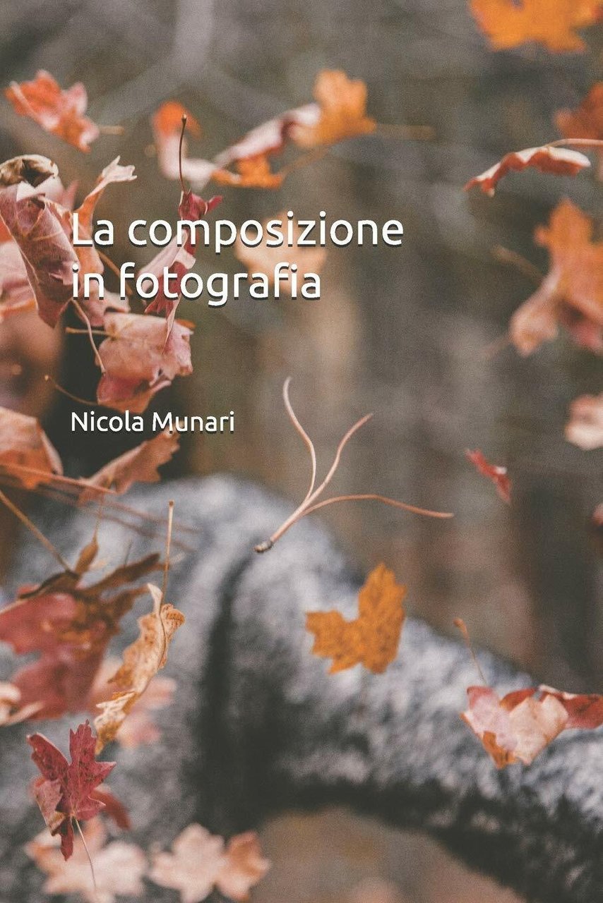 La Composizione in Fotografia di Nicola Munari, 2018, Indipendently Published