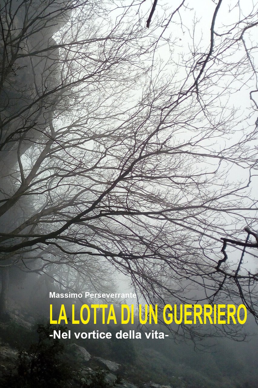 La lotta di un guerriero di Massimo Perseverrante, 2022, Youcanprint