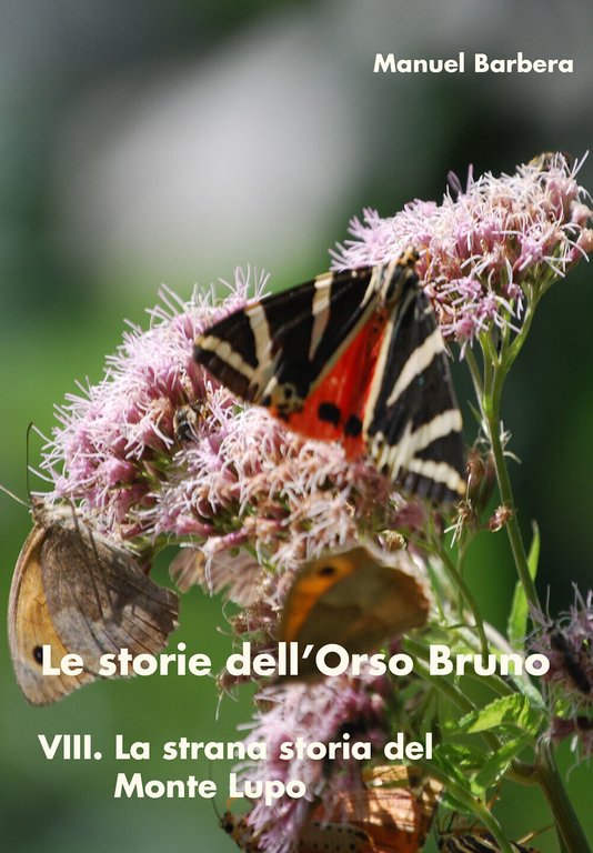 La strana storia del Monte Lupo. Le storie dell?orso bruno …