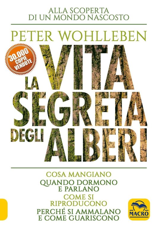 La vita segreta degli alberi. Cosa mangiano. Quando dormono e parlano. Come si r