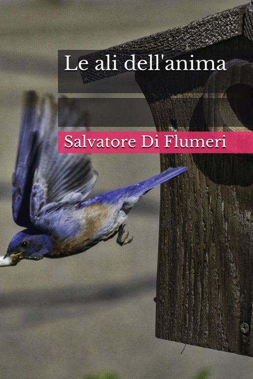 Le ali dell?anima di Salvatore Di Flumeri, 2020, Youcanprint