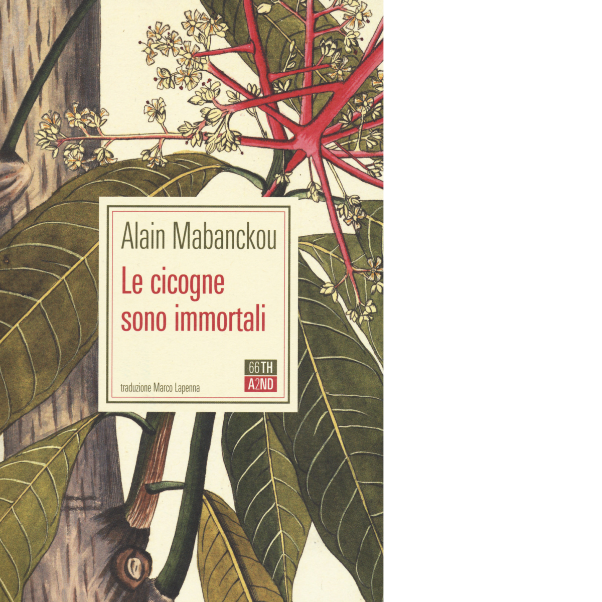 Le cicogne sono immortali di Alain Mabanckou, 2020, 66th And …