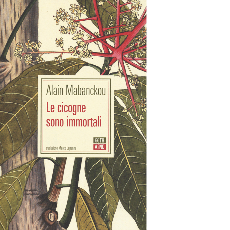 Le cicogne sono immortali di Alain Mabanckou, 2020, 66th And …