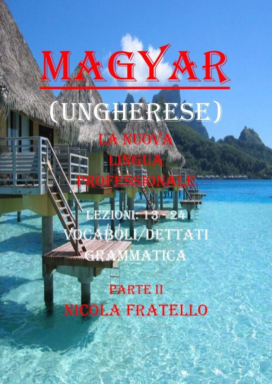 Magyar. La nuova lingua professionale. Parte II di Nicola Fratello, …