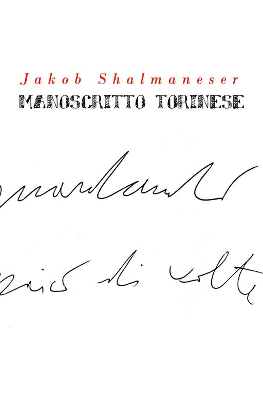Manoscritto torinese di Jakob Shalmaneser, 2020, Youcanprint