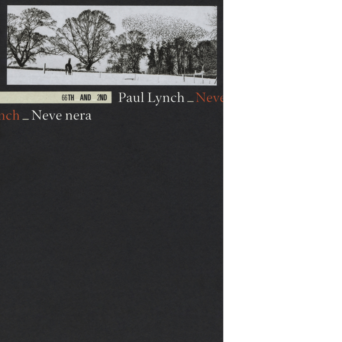 Neve nera di Paul Lynch, 2018, 66th And 2nd