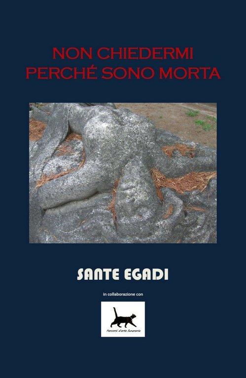 Non chiedermi perché sono morta di Sante Egadi, 2016, Youcanprint
