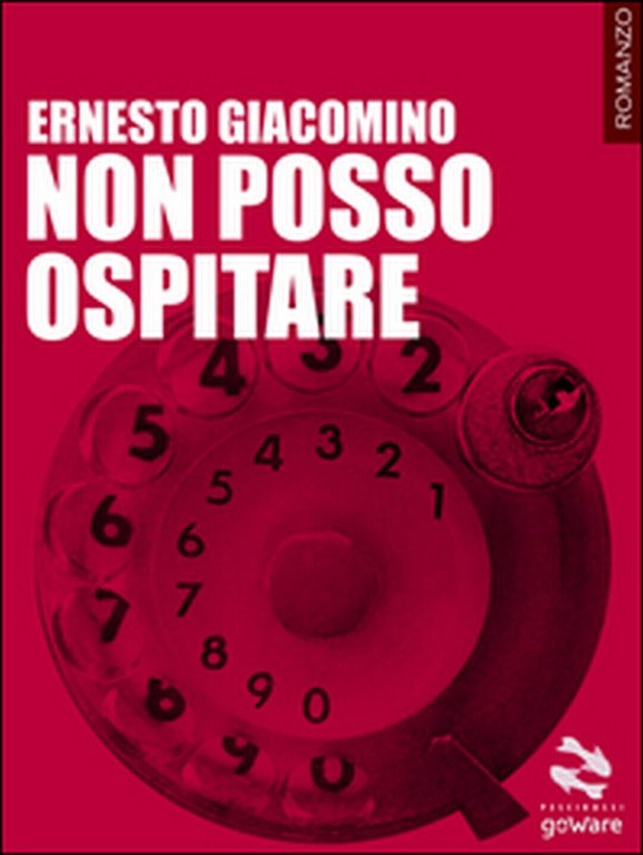 Non posso ospitare di Ernesto Giacomino, 2014, Goware
