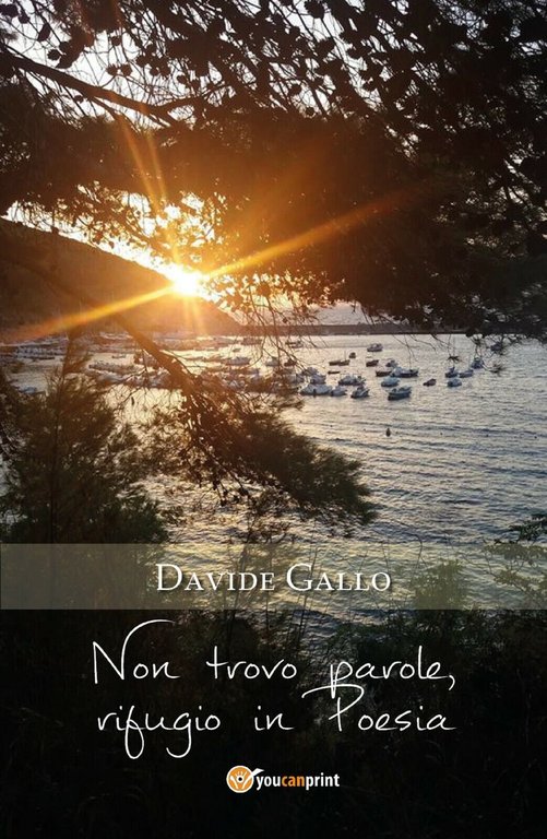 Non trovo parole, rifugio in Poesia di Davide Gallo, 2018, …
