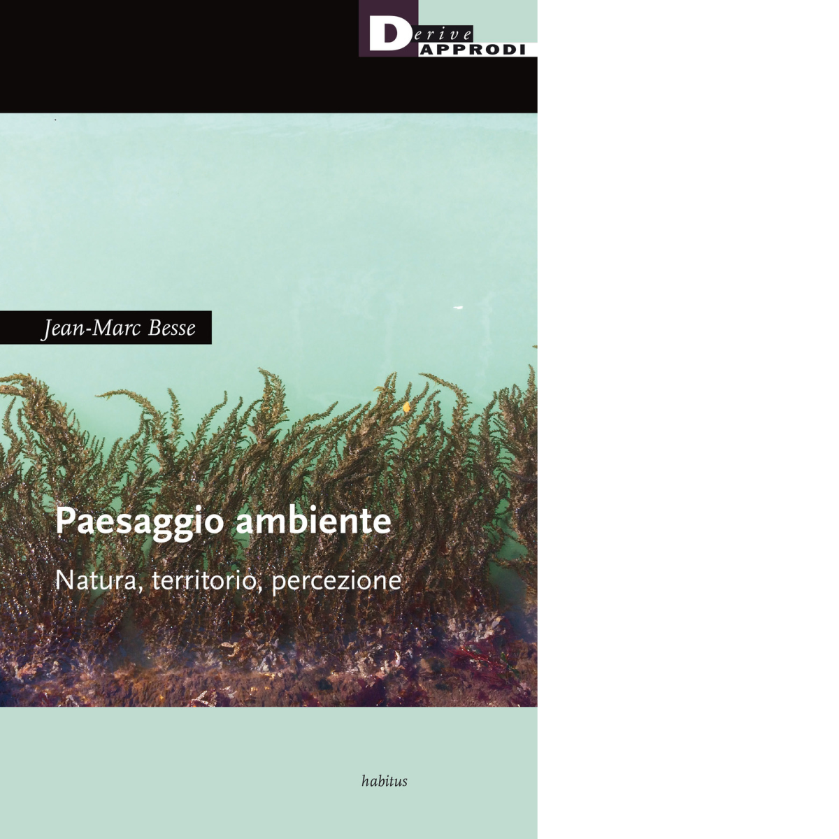 Paesaggio ambiente. Natura, territorio, percezione di Jean-Marc Besse-2020