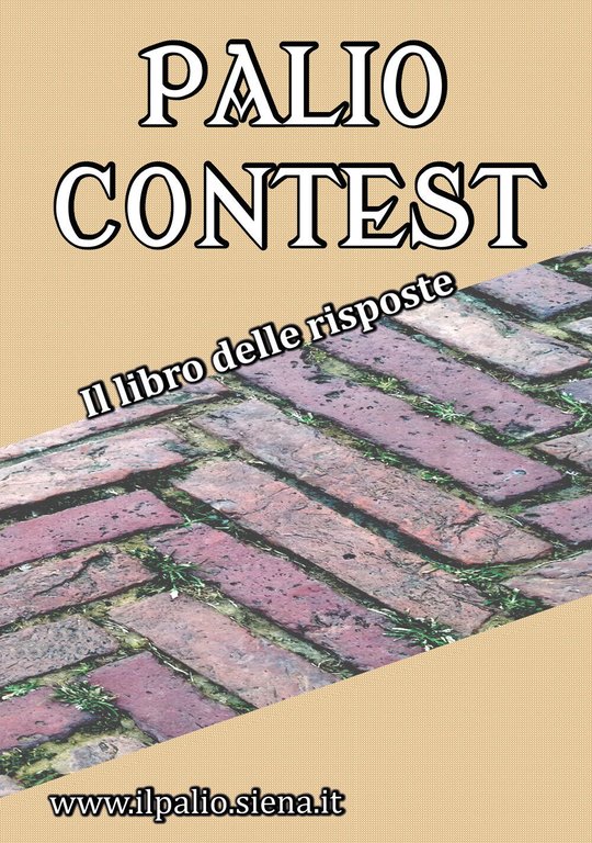 Palio Contest di Andrea Rossi, 2021, Youcanprint