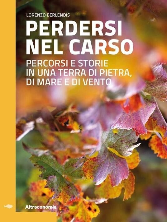 Perdersi nel Carso. Percorsi e storie in una terra di …