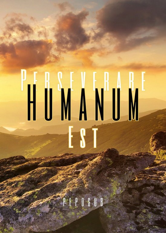 Perseverare Humanum Est di Peposub, 2019, Youcanprint