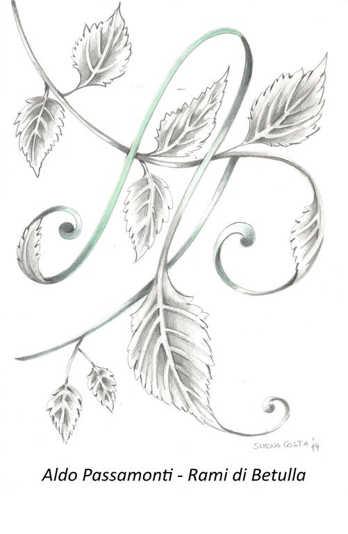 Rami di betulla di Aldo Passamonti, 2019, Youcanprint