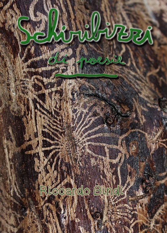 Schiribizzi di poesie di Riccardo Bindi, 2019, Youcanprint