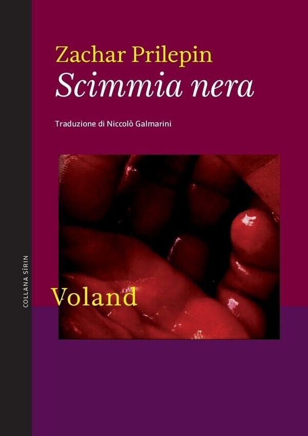 Scimmia nera di Zachar Prilepin, 2013, Voland