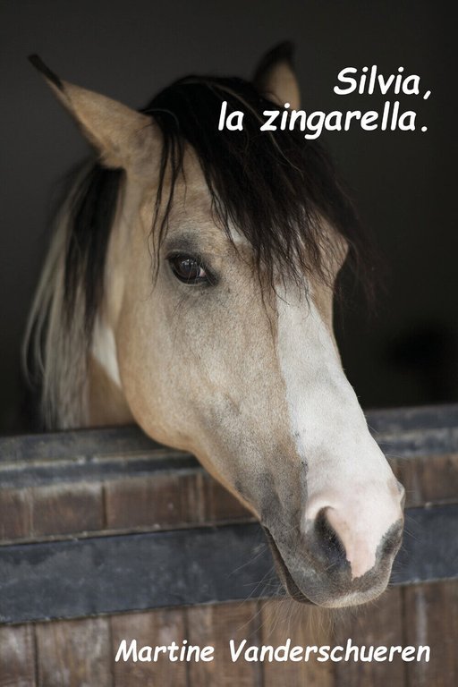 Silvia la zingarella di Martine Vanderschueren, 2020, Youcanprint