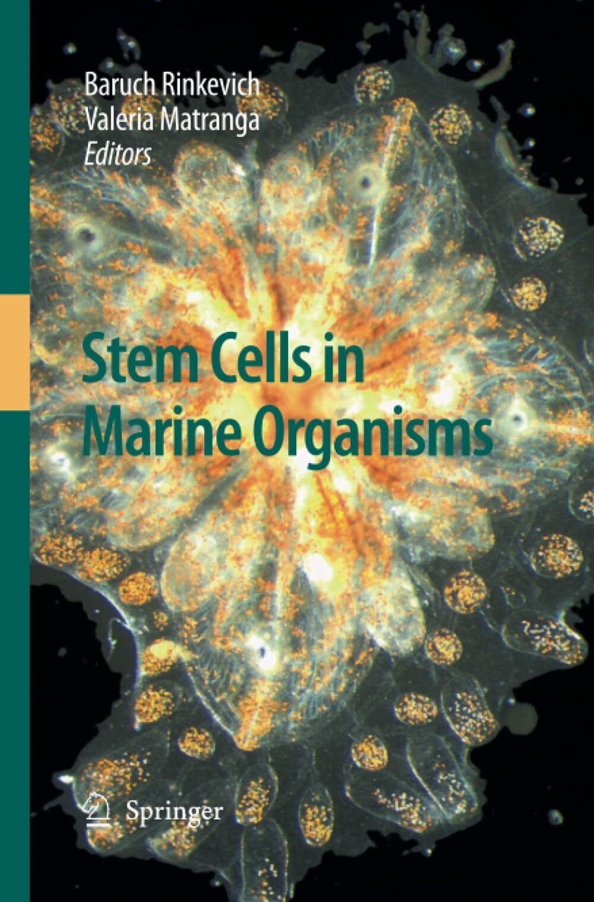 Stem Cells in Marine Organisms - Baruch Rinkevich - Springer, … | Immagine principale