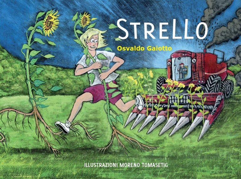 Strello di Osvaldo Gaiotto, 2016, Youcanprint