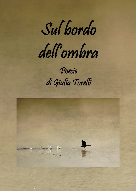 Sul bordo dell?ombra di Giulia Torelli, 2020, Youcanprint