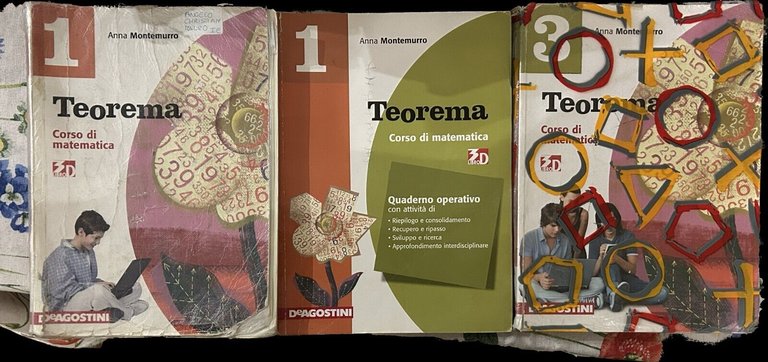 Teorema 1+3. Corso di matematica. Con quaderno operativo di Anna Montemurro, 2