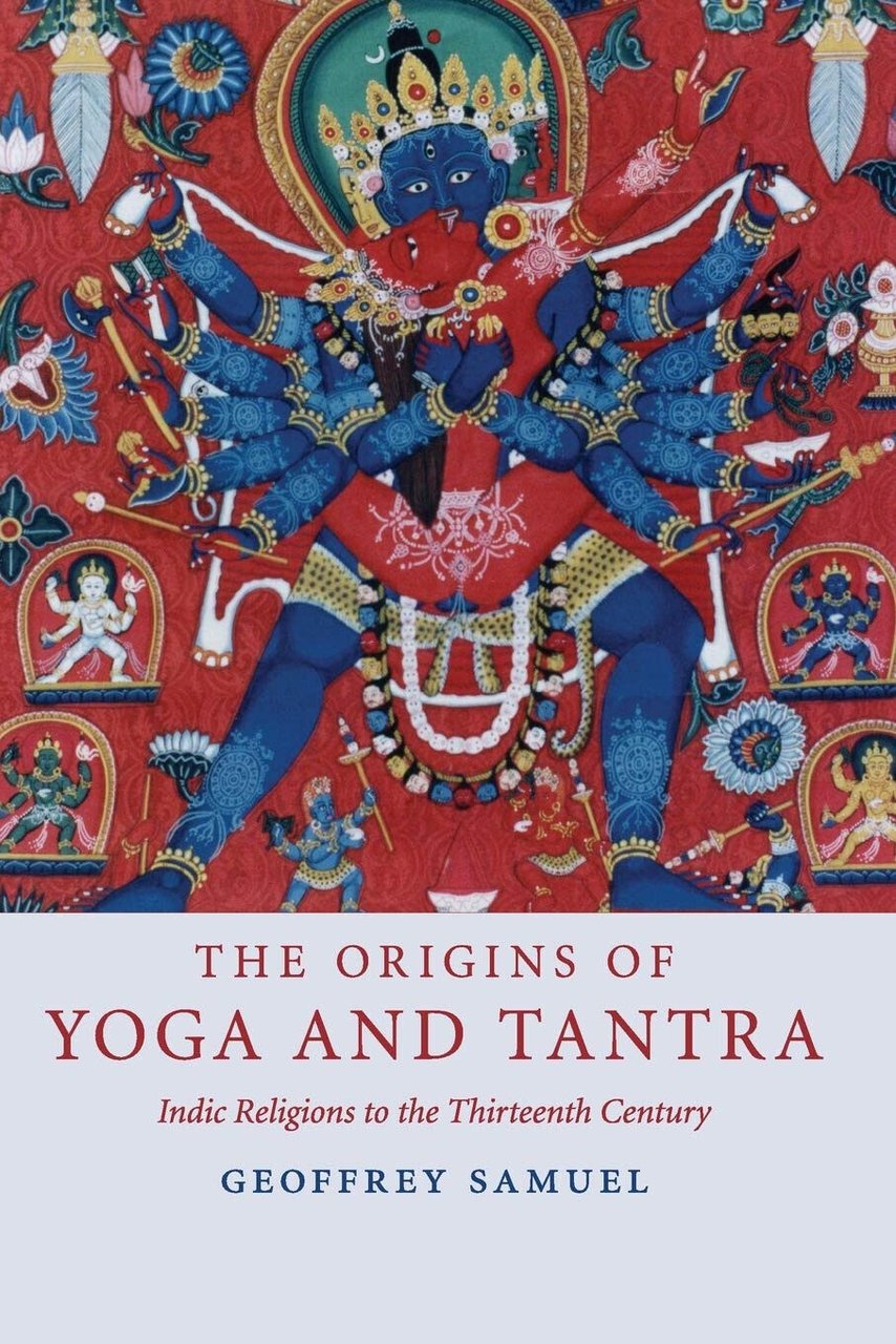 The Origins of Yoga and Tantra - Geoffrey Samuel - …