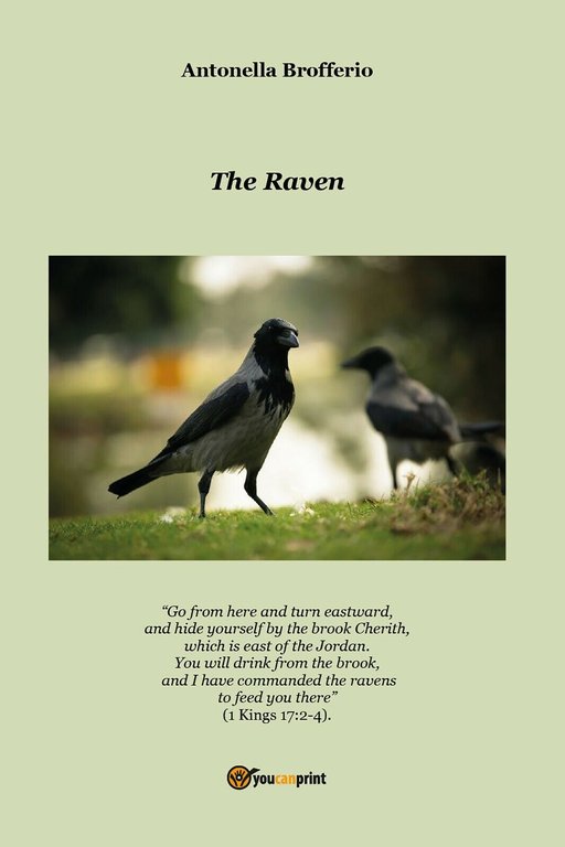 The Raven di Antonella Brofferio, 2021, Youcanprint