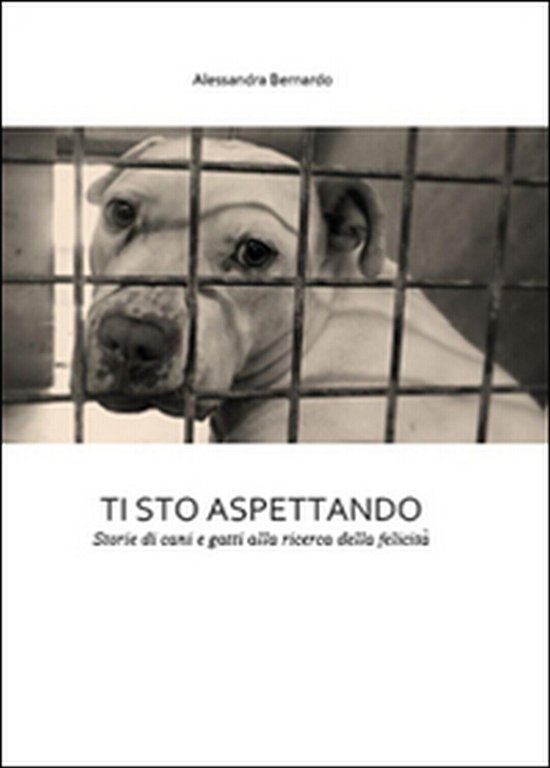 Ti sto aspettando di Alessandra Bernardo, 2015, Youcanprint