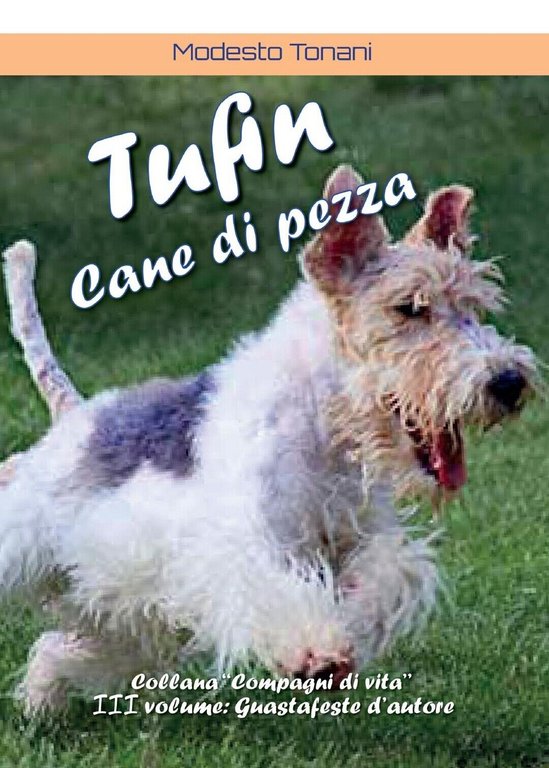 Tufin cane di pezza di Modesto Tonani, 2016, Youcanprint