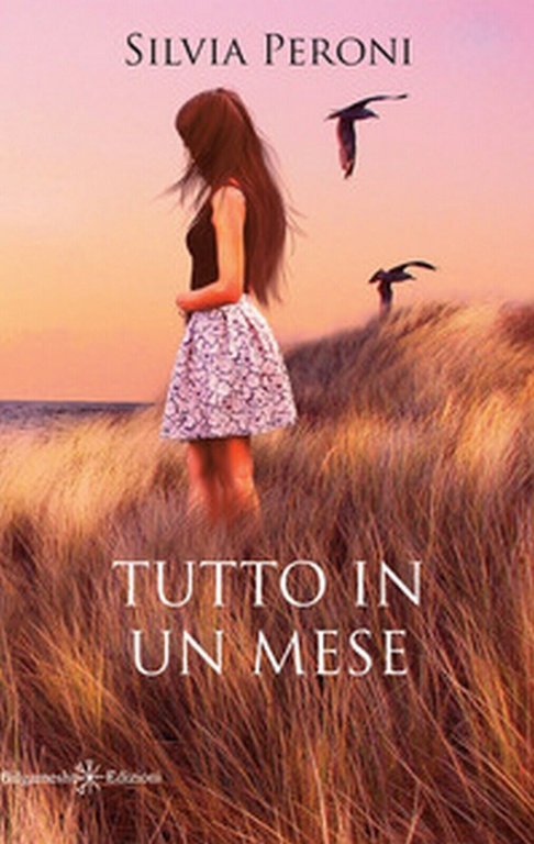 Tutto in un mese di Silvia Peroni, 2019, Gilgamesh Edizioni