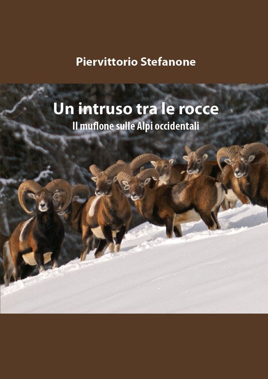Un intruso tra le rocce di Piervittorio Stefanone, 2018, Youcanprint