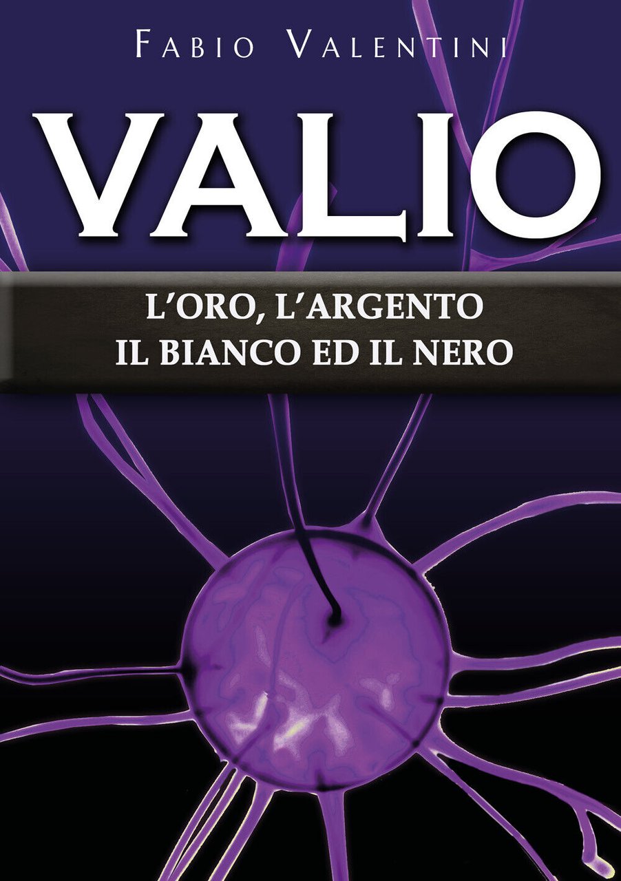 Valio: l?oro, l?argento, il bianco ed il nero. Volume 4 … | Immagine principale