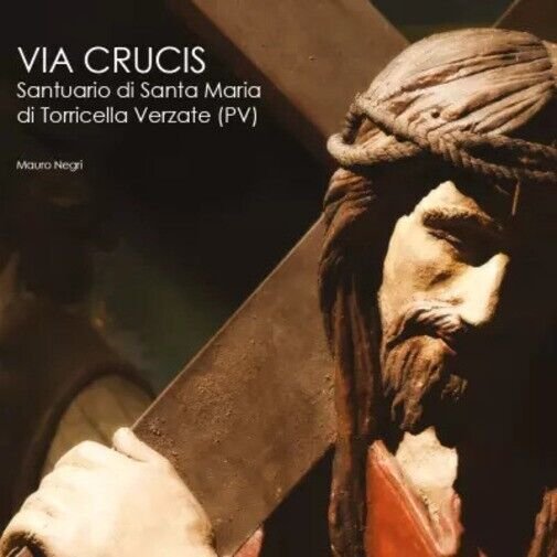 Via Crucis di Mauro Negri, 2023, Youcanprint | Immagine principale